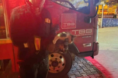 Motor kısmına sıkışan kedi için seferber oldular
