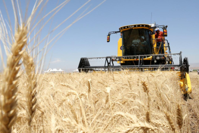 Çiftçinin Beklediği Açıklama Geldi! TMO 2026 Hububat Alım Fiyatlarını Açıkladı