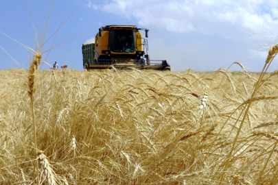 Çiftçilere Müjde! Kırsal Kalkınma Desteklerinde Süre Uzatıldı