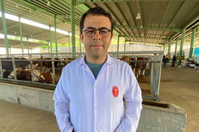 Kene tehdidine dikkat: 200’den fazla hastalık etkeni taşıyabiliyor
