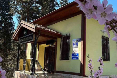 Tarihi hazirede Osmanlı kabirlerine yönelik çalışma tamamlandı
