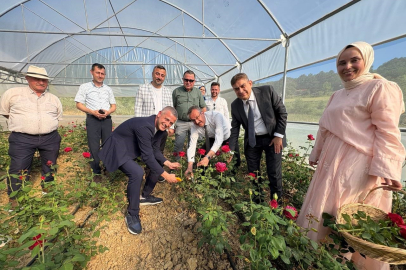Kadın girişimci hibe desteğiyle Kocaeli’nin ilk gül serasını kurdu