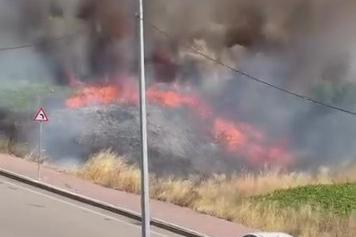 Darıca’da arazide korkutan yangın